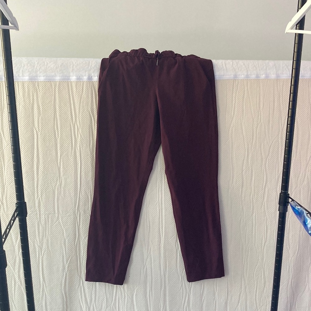 Lululemon on the fly pants